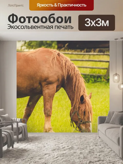 Фотообои Лошадь на пастбище
