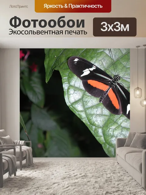 Фотообои Красочные бабочки
