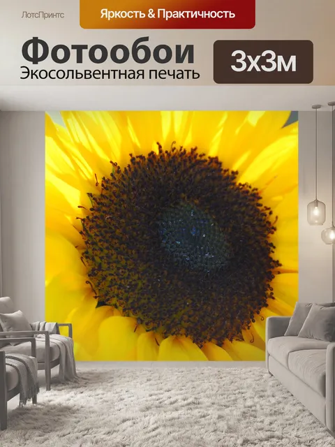 Фотообои Подсолнечник