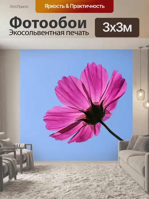 Фотообои Цветок