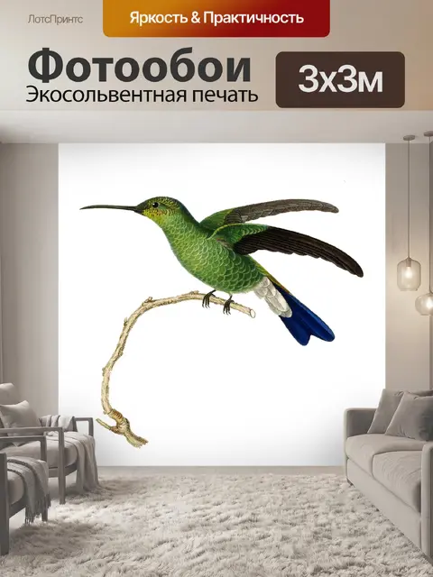 Фотообои Колибри птица старинное искусство