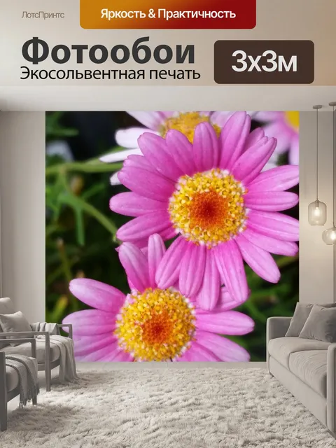 Фотообои Цветы