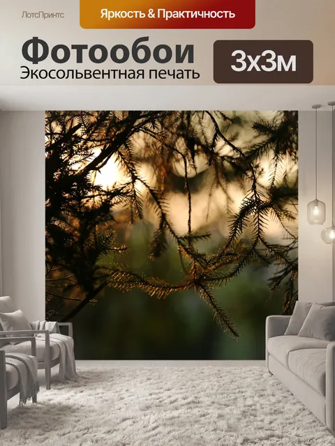 Фотообои Заход солнца
