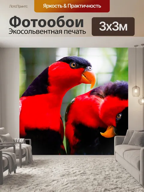 Фотообои Чернокожая Лори