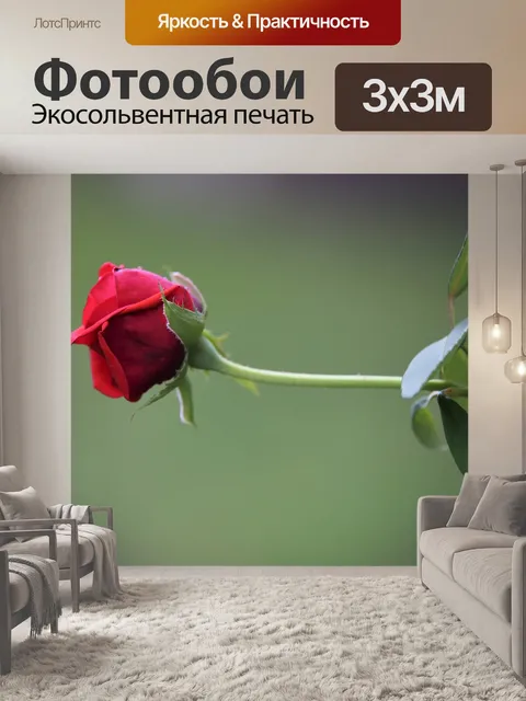 Фотообои Красная бархатная роза
