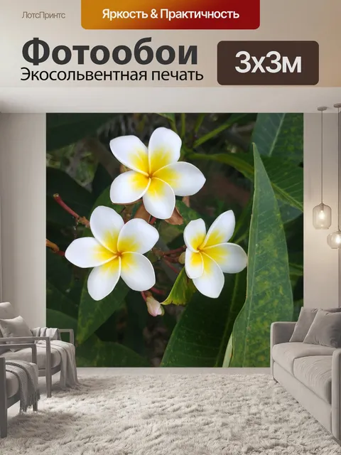 Фотообои Тропический