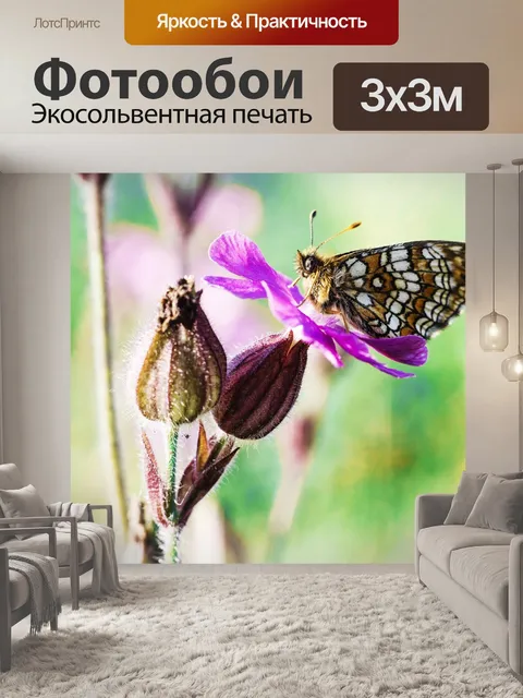 Фотообои Маленькая жемчужина-граничит рябчик