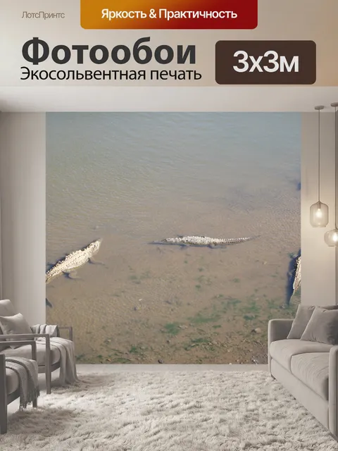 Фотообои Коста-Рика Крокодил