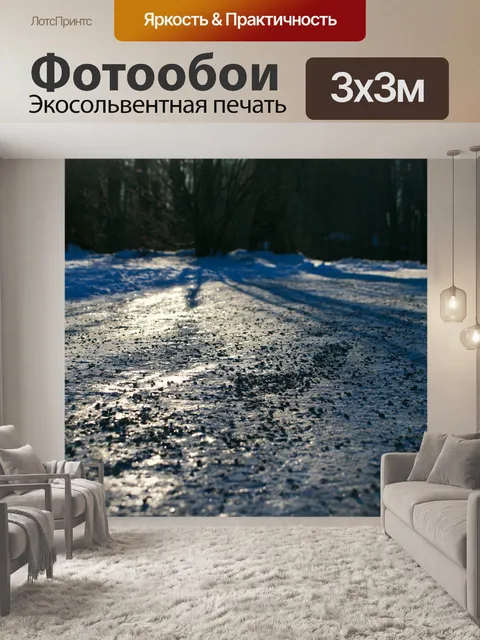 Фотообои Зимняя гладь