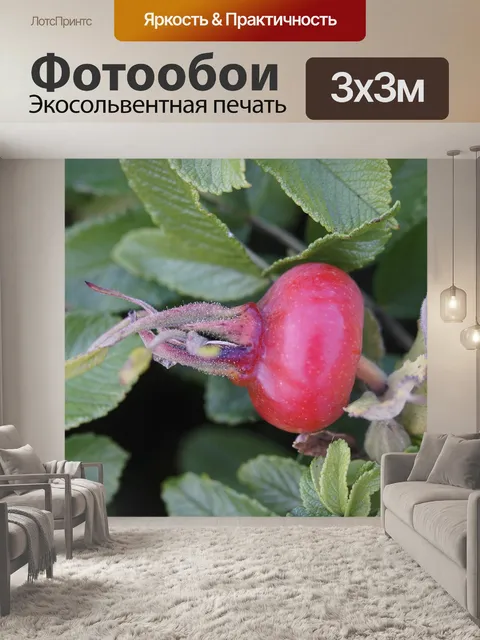 Фотообои Собачьи розы