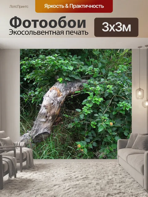 Фотообои захватчик лантана кустарник и сухой пень