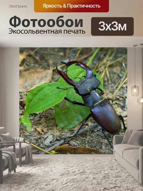 Фотообои Рогач