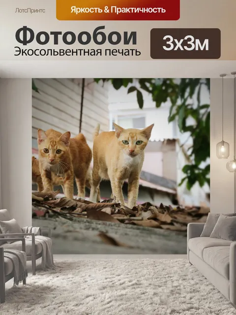 Фотообои Кошка