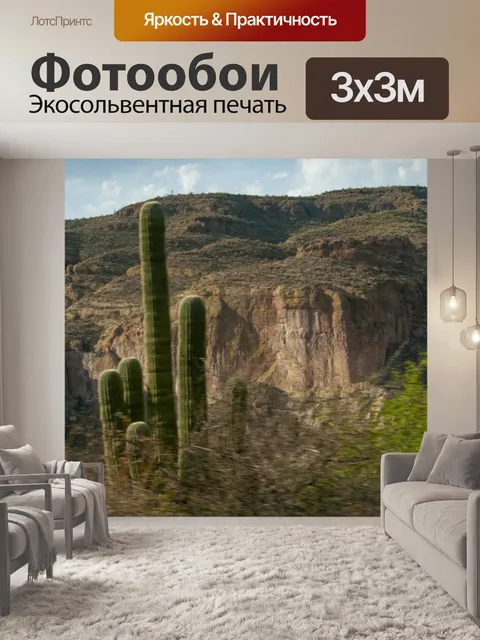 Фотообои Кактус