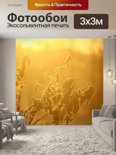Фотообои Утреннее настроение