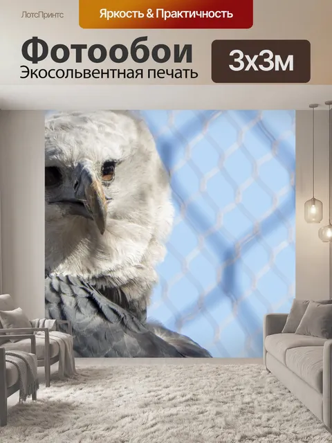 Фотообои Гарпия Орел