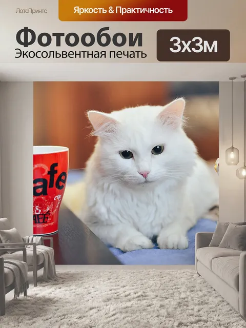 Фотообои Кот пьет чай