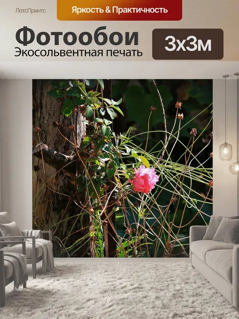 Фотообои выросли цветение в солнечном свете