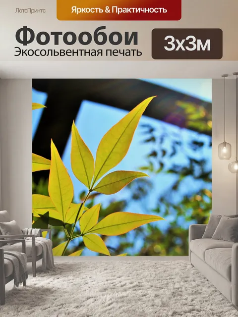 Фотообои святой бамбука осенью