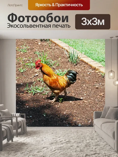 Фотообои красный петух