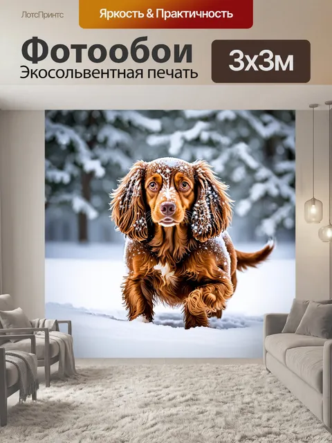 Фотообои спаниель, играющий в снегу, его пушистая шерсть покрыта белыми снеговиками