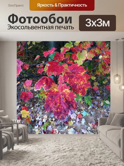 Фотообои Maple Leaf ветку