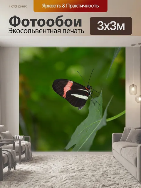 Фотообои Бабочки 2.3