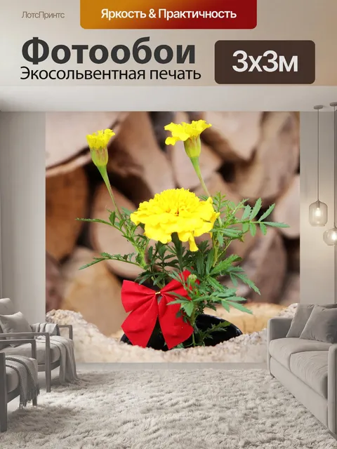 Фотообои Бархатцы