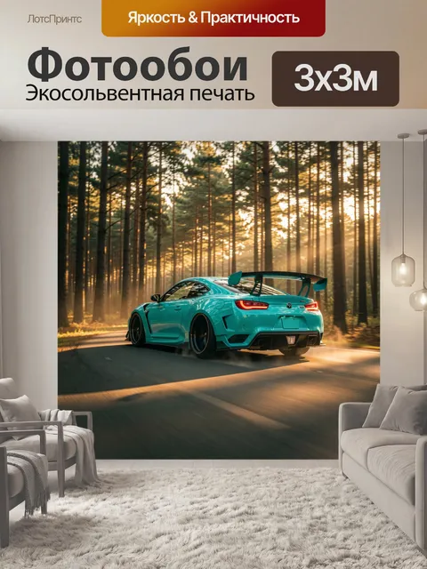Фотообои Спортивное купе в лесу