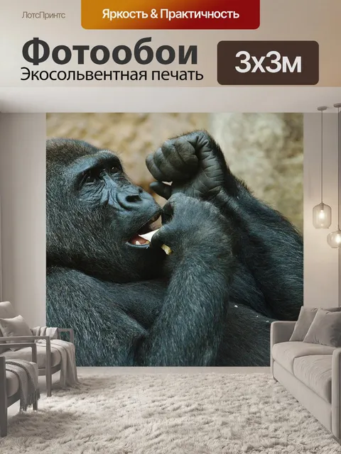 Фотообои Обезьяна
