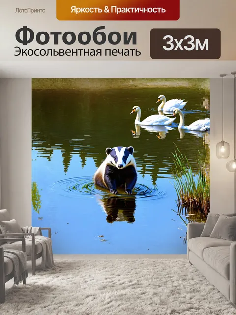 Фотообои на берегу спокойного озера, барсук, отражаясь в воде, тихо наблюдает за лебедями, плавающими неподалеку