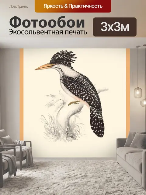 Фотообои Зимородок постер с птицами