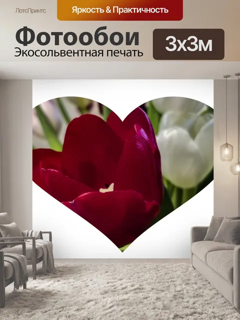 Фотообои Красные тюльпаны Цветочное сердце