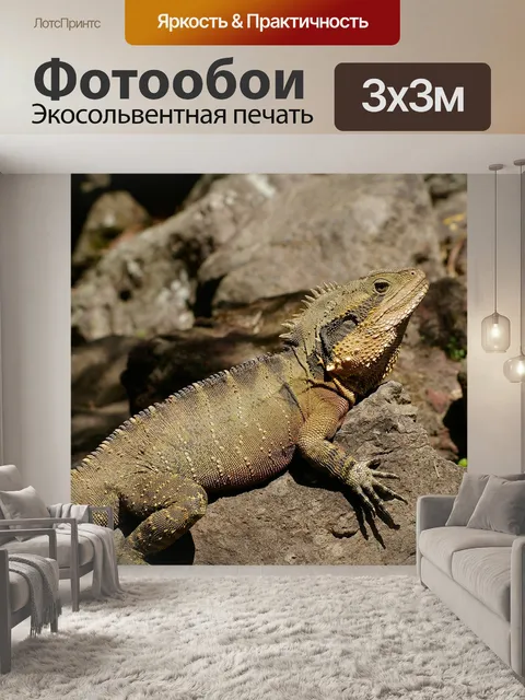 Фотообои Восточная водяного дракона