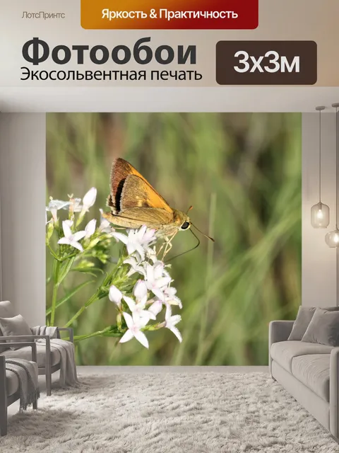 Фотообои Делавэрский шкипер на полевых цветах
