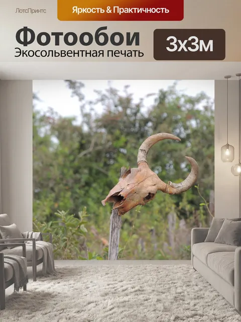 Фотообои К северо-востоку