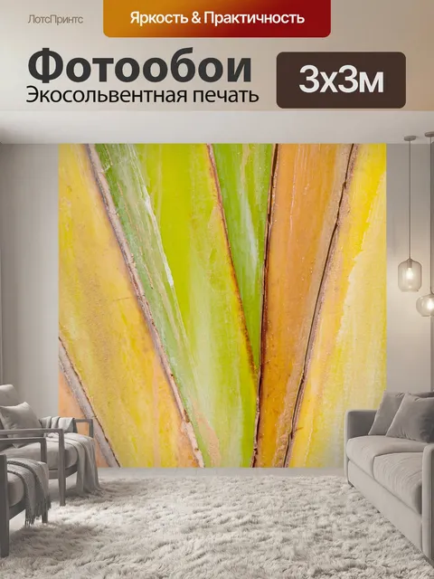 Фотообои узор листьев пальмы
