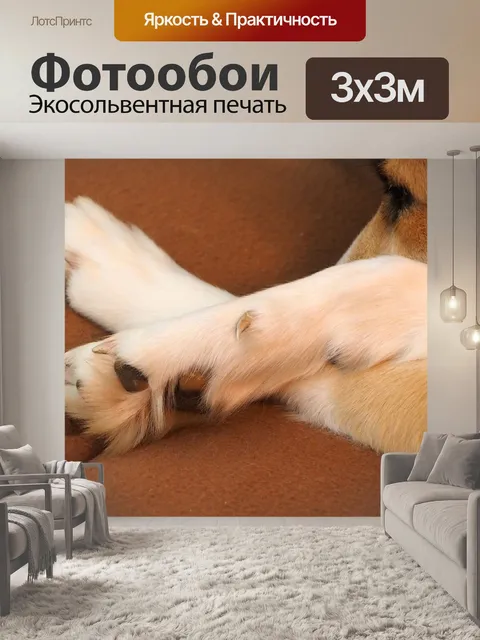Фотообои Лапа собаки