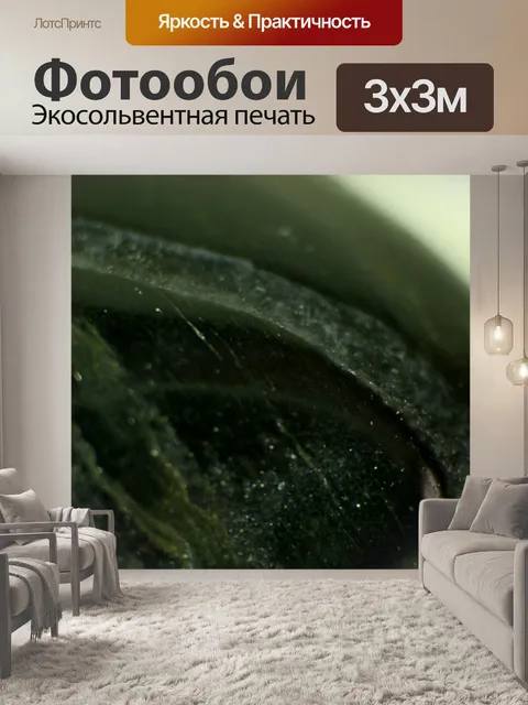 Фотообои Дракон Яйцо