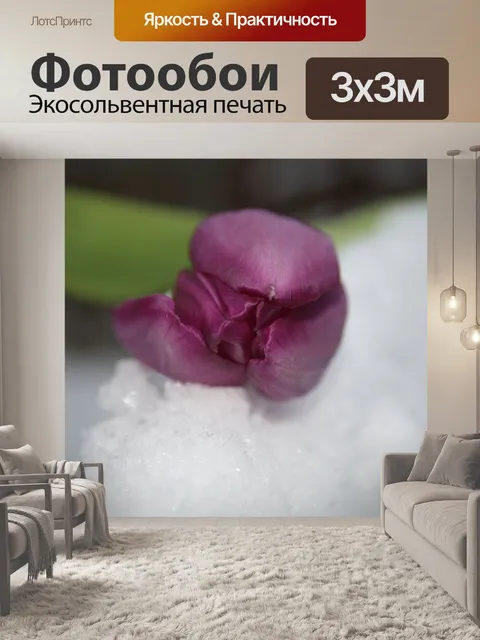 Фотообои Фиолетовый тюльпан