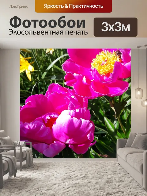Фотообои Пион