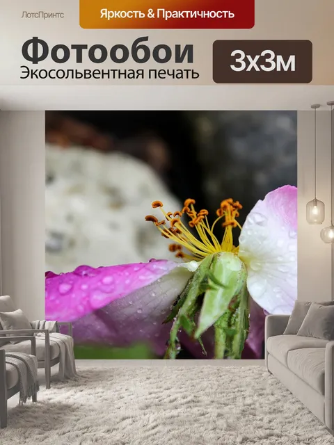 Фотообои Брайан