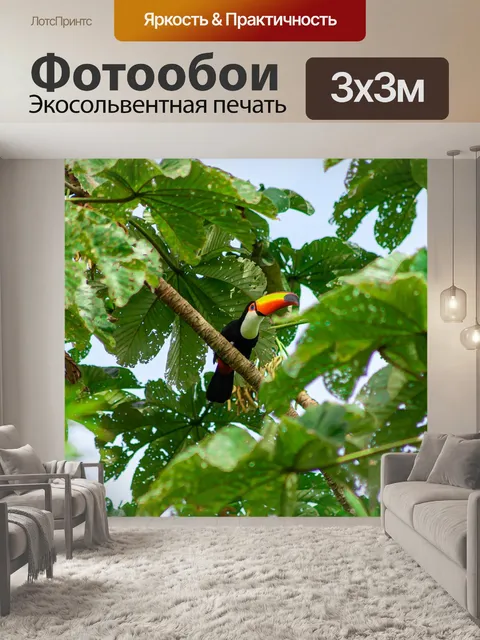 Фотообои Тукан-пень
