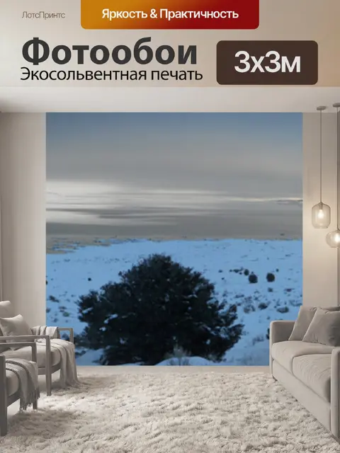 Фотообои Восточная Сьерра-зима - озеро Моно