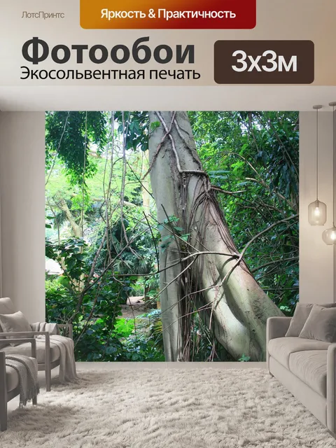 Фотообои субтропическое дерево и листва