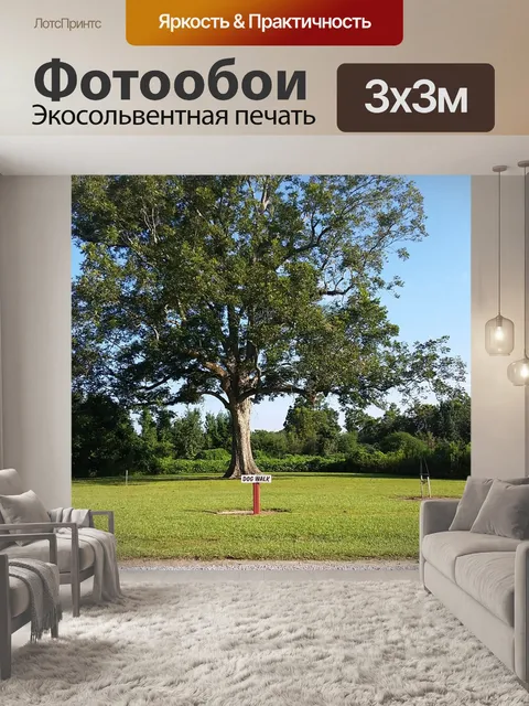 Фотообои Дерево
