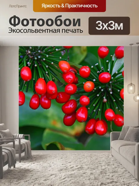 Фотообои Берри