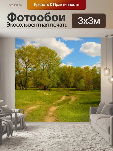 Фотообои Дорога в лесу