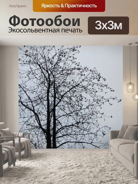 Фотообои Древесина