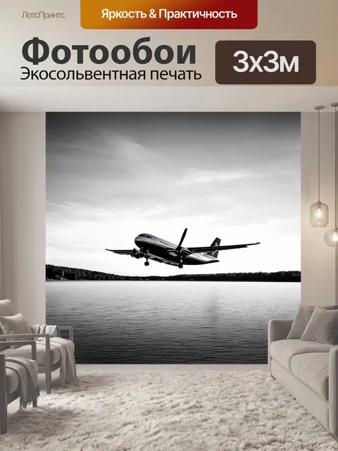 Фотообои самолет в черно-белом стиле, совершает aterrizaje возле живописного озера